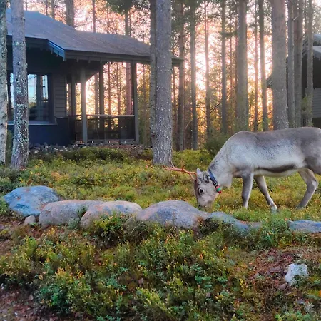 Semesterbostad Tunturipoelloe 2 *