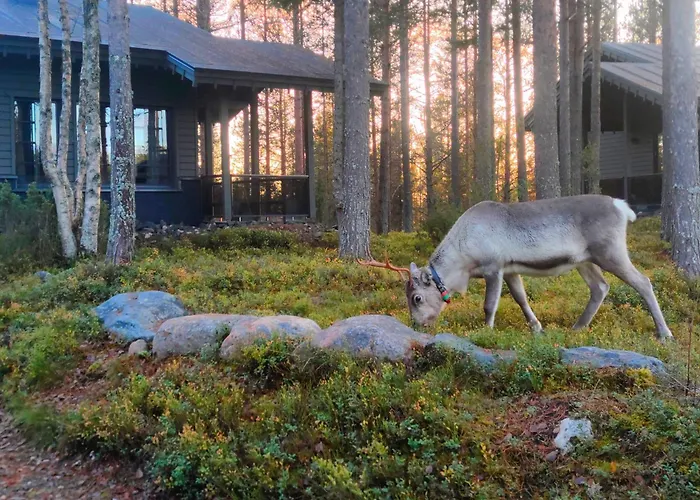 Ferienhaus Tunturipoelloe 2 *